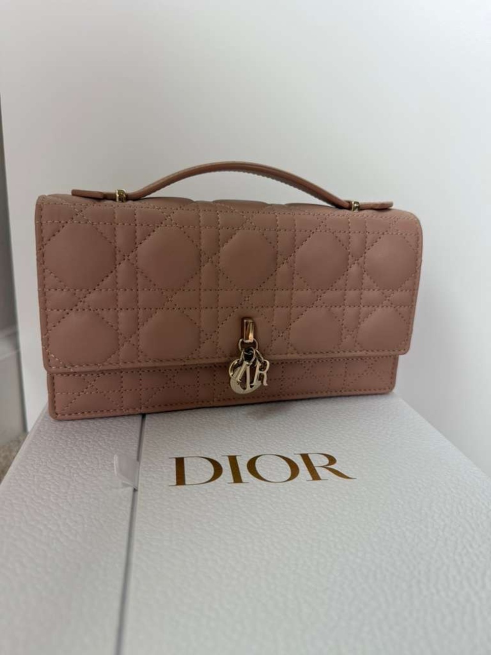 My Dior Mini Bag
Rose des Vents Cannage Lambskin